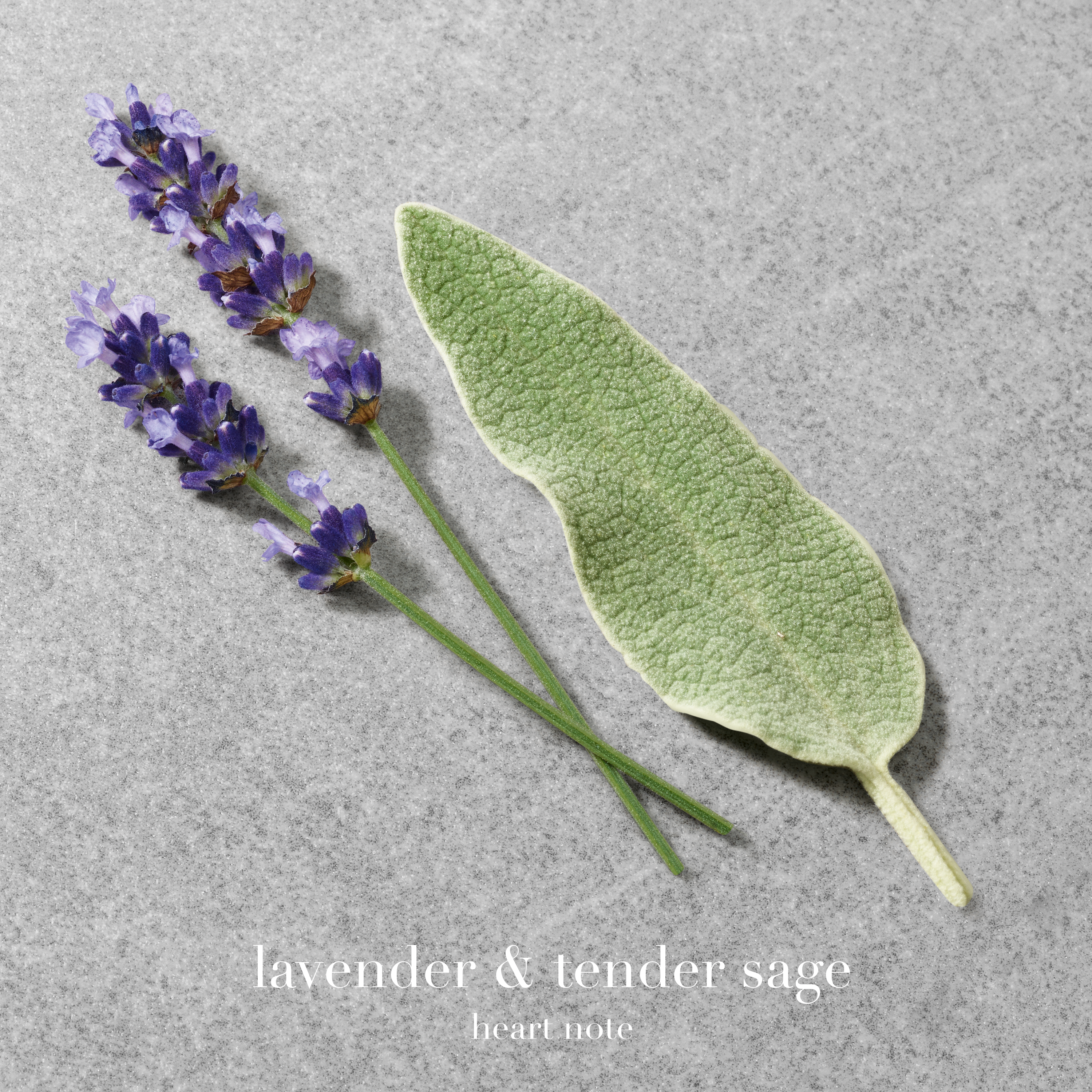 EMPORIO ARMANI - STRONGER WITH YOU EDT POUR HOMME